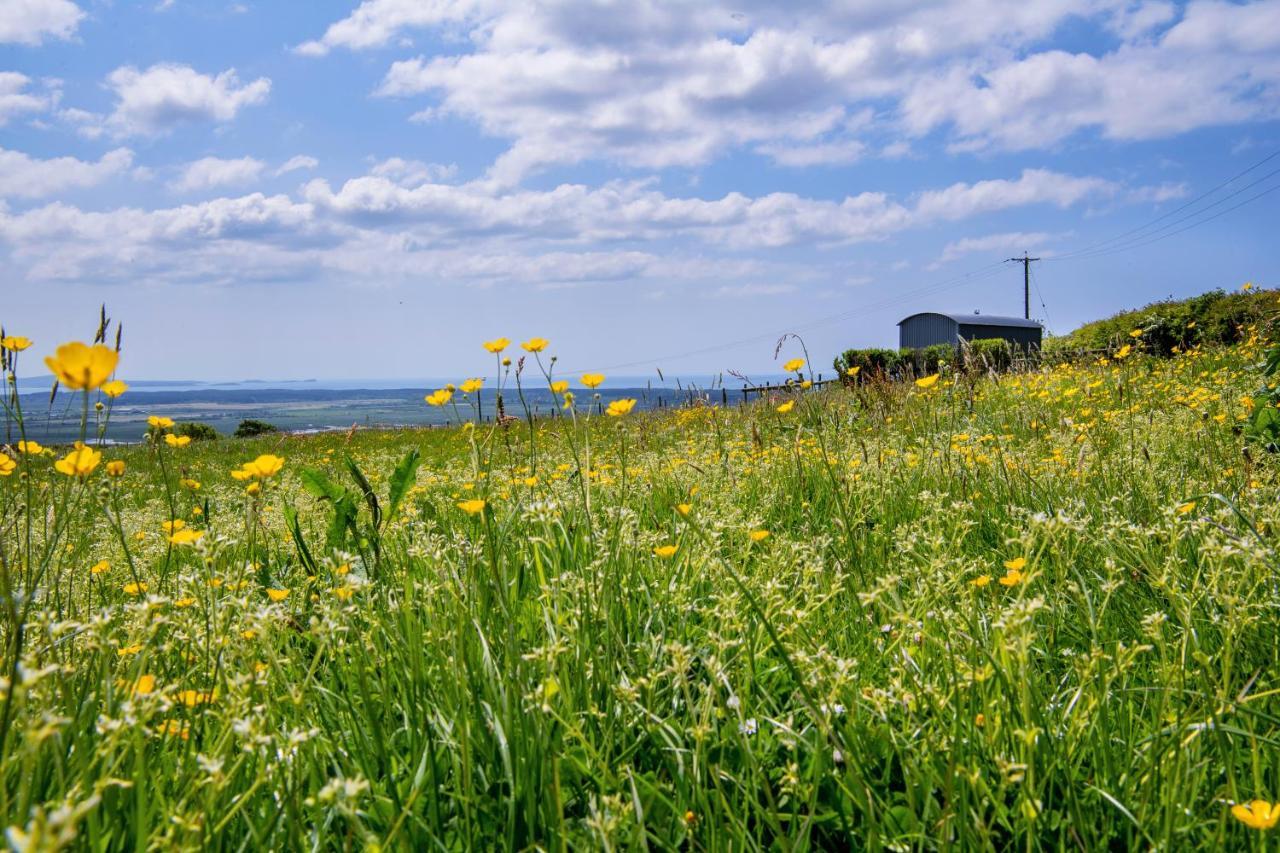 The Big Cwtch Shepherd'S Hut Kidwelly المظهر الخارجي الصورة